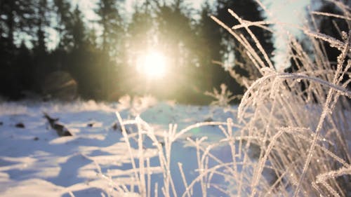 有关下雪的天气, 冬季, 冷的免费素材视频