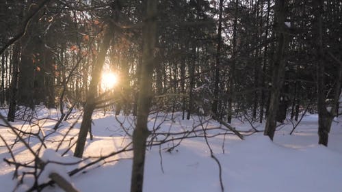 有关下雪的, 下雪的天气, 冷 - 温度的免费素材视频