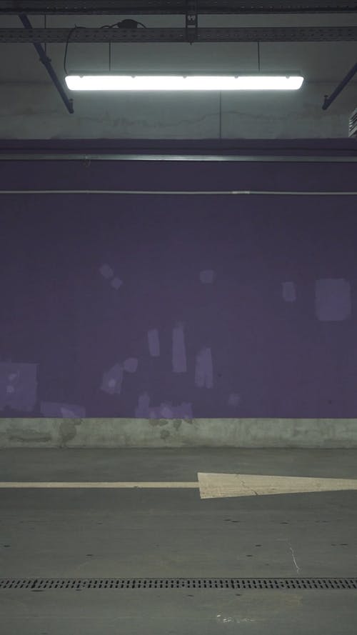 有关一对, 人, 垂直视频的免费素材视频