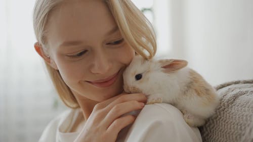 有关享受, 兔子, 动物的免费素材视频