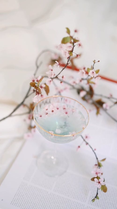 有关垂直视频, 审美, 树叶的免费素材视频