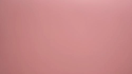 有关Flatlay, 从上面, 植物群的免费素材视频