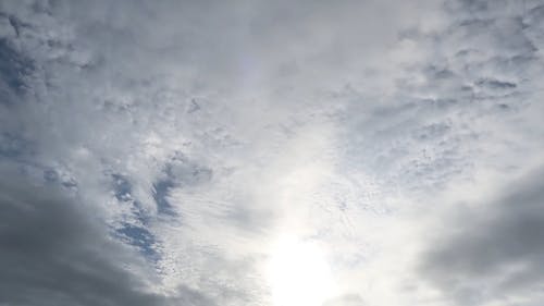 有关天, 天性, 天空的免费素材视频