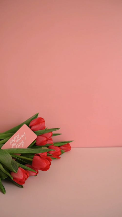 有关乳酪蛋糕, 切片, 可口的免费素材视频