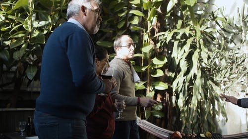 有关友谊, 後院, 成人的免费素材视频