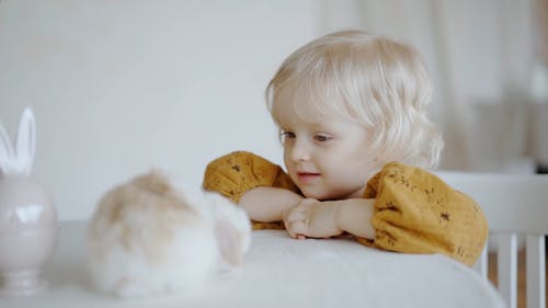 有关儿童, 兔子, 动物的免费素材视频