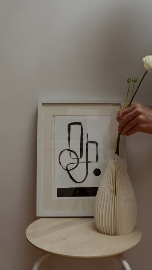 有关垂直视频, 室内装饰, 植物群的免费素材视频