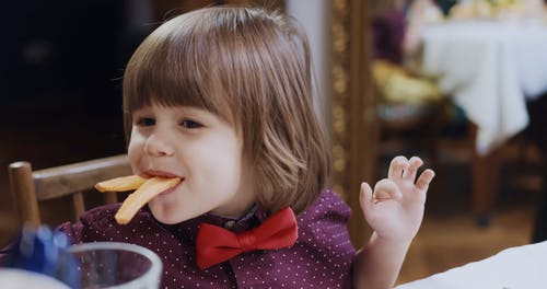 有关享受, 健康, 可爱的免费素材视频