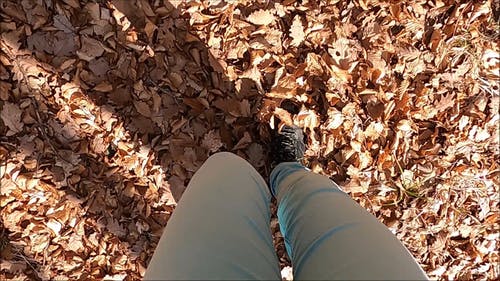 有关下落, 尺, 日光的免费素材视频