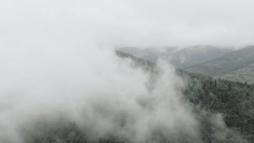 有关天性, 户外, 旅行的免费素材视频