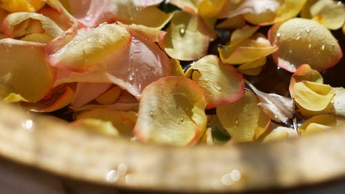 有关水, 水滴, 漂浮的的免费素材视频