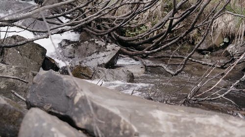 有关天性, 小河, 岩石的免费素材视频