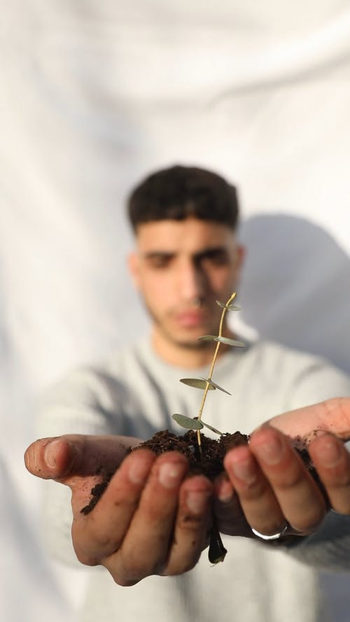 有关@户外, 和平, 土的免费素材视频