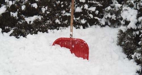 有关下雪, 冬季, 冷的免费素材视频