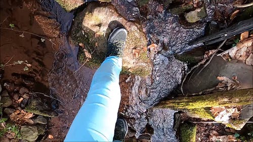 有关分支机构, 尺, 天性的免费素材视频