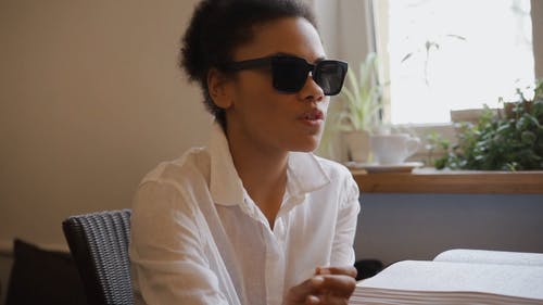 有关动物, 坐, 墨镜的免费素材视频