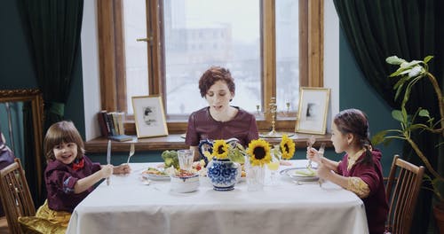 有关向日葵, 愤怒, 表格的免费素材视频