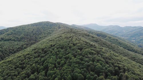 有关天性, 山, 户外的免费素材视频