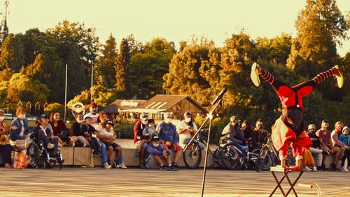 有关执行, 小丑, 树木的免费素材视频