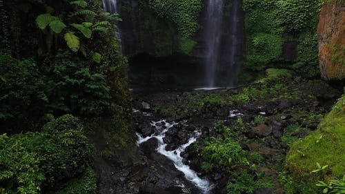 有关丛林, 地理, 地质的免费素材视频