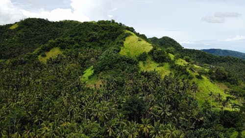 有关天性, 山, 从上面的免费素材视频