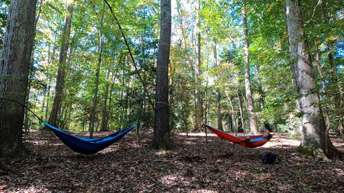 有关人, 吊床, 天性的免费素材视频