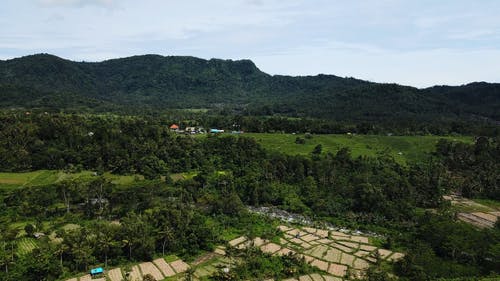 有关下田, 农业用地, 印尼的免费素材视频