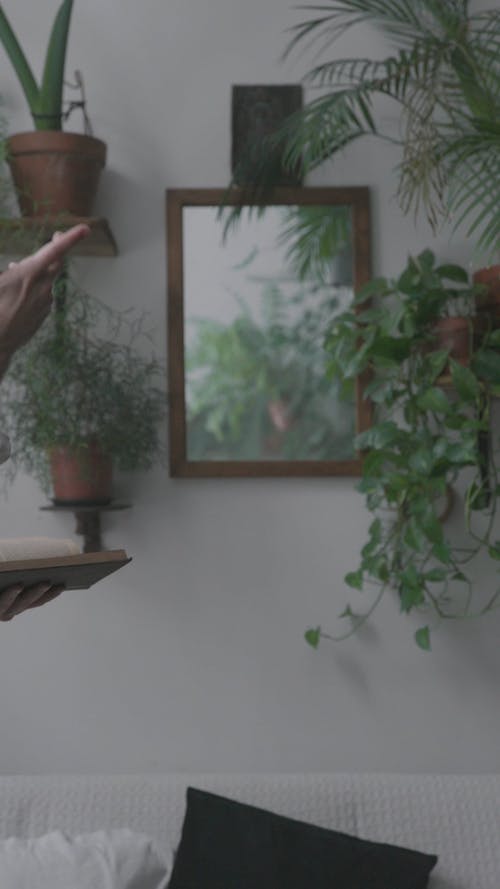 有关信, 创意工作区, 垂直视频的免费素材视频