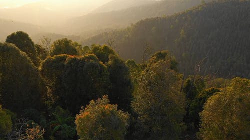 有关天性, 山, 从上面的免费素材视频