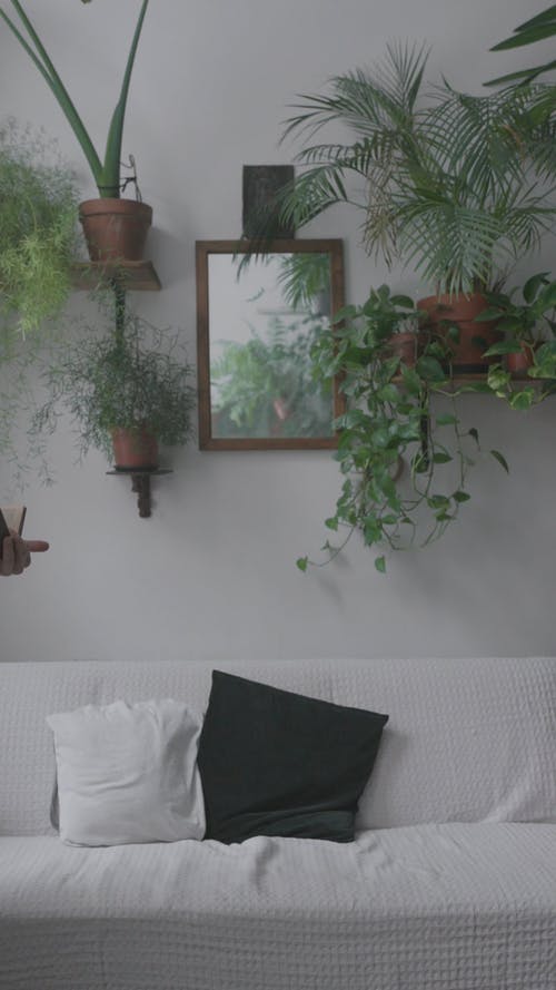 有关人, 全景, 垂直视频的免费素材视频