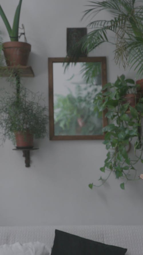 有关人, 信, 创意工作区的免费素材视频