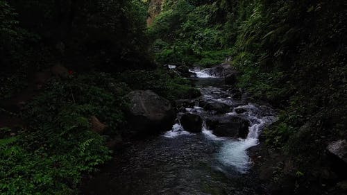 有关天性, 干净的水, 无人机相机的免费素材视频