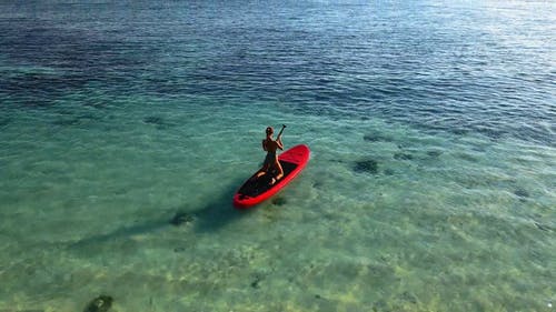 有关假期, 天性, 年轻的成年人的免费素材视频