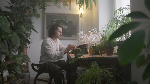 有关人, 坐, 室内植物的免费素材视频