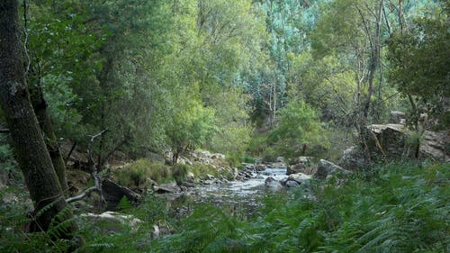 有关天性, 岩石, 户外的免费素材视频