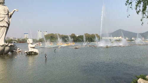 有关全景, 公园, 划船的免费素材视频