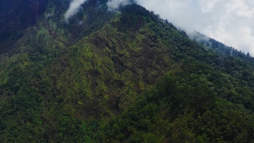 有关天性, 无人机视频, 日光的免费素材视频