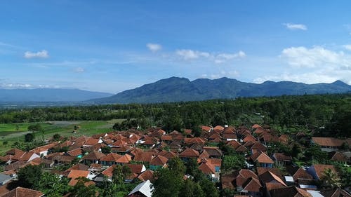 有关农业用地, 农业领域, 农村的免费素材视频