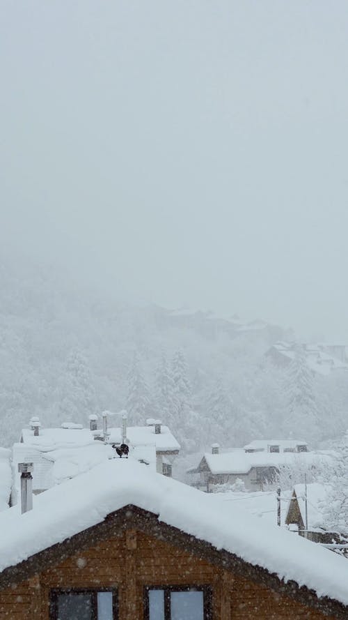 有关下雪, 冬季, 冷的免费素材视频