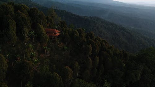 有关丛林, 天性, 山的免费素材视频