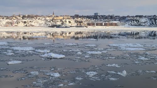 有关冬季, 冰, 冻结的的免费素材视频