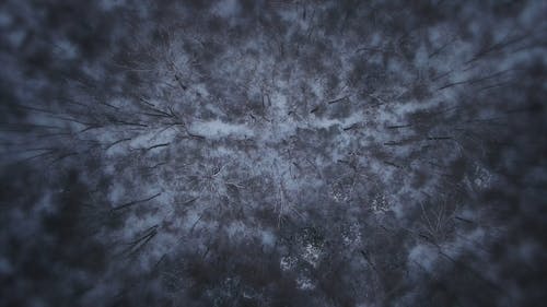 有关冬季, 冷, 冷冰的的免费素材视频