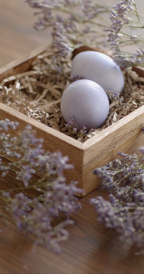 有关一般开销, 创造力, 垂直视频的免费素材视频