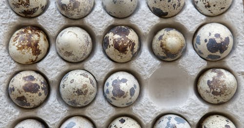 有关不同, 俯视图, 健康的免费素材视频