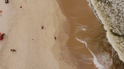 有关天性, 招手, 步行的免费素材视频