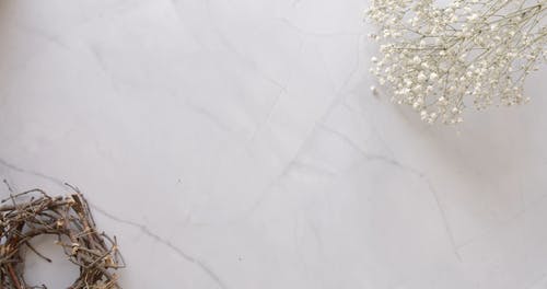 有关乾燥花, 俯视图, 可口的的免费素材视频