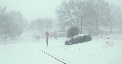 有关下雪, 冬季, 冷的免费素材视频