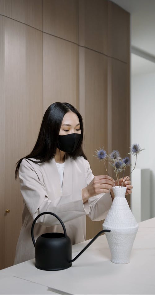 有关eryngos, 保护, 喷壶的免费素材视频