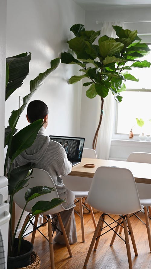 有关人, 在家, 垂直视频的免费素材视频