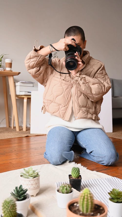 有关仙人掌植物, 休闲, 嗜好的免费素材视频